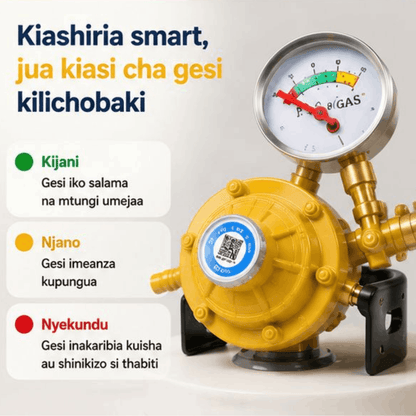 INTELLIGENT GAS REGULATOR
